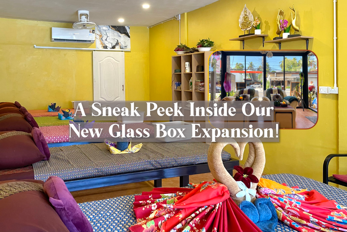 Big News: A Sneak Peek Inside Our New Glass Box Expansion!